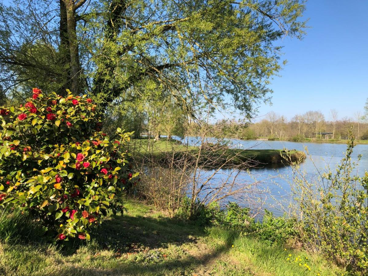 Bed and Breakfast La Francoisiere Loigné-sur-Mayenne Exterior foto