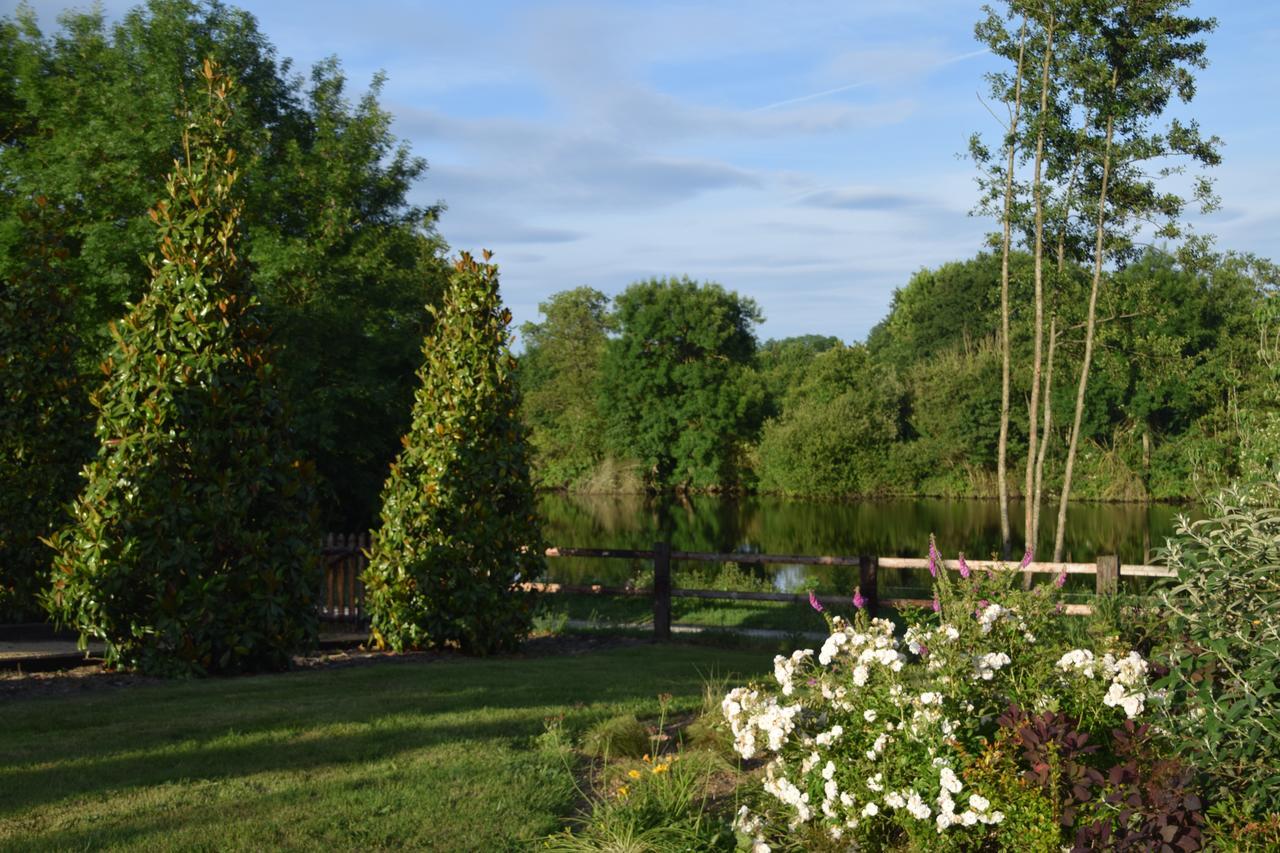 Bed and Breakfast La Francoisiere Loigné-sur-Mayenne Exterior foto