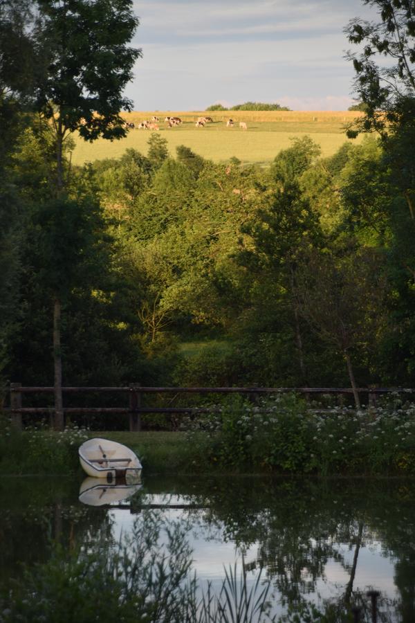 Bed and Breakfast La Francoisiere Loigné-sur-Mayenne Exterior foto